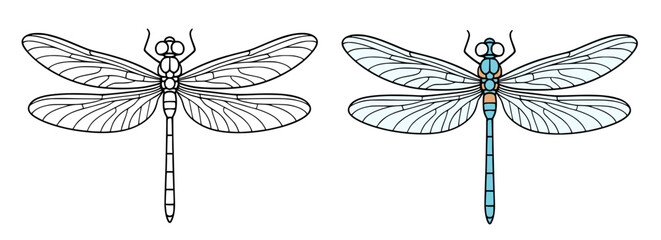 Dragonfly icon illustration in line art and colored design, for coloring page © Bambang