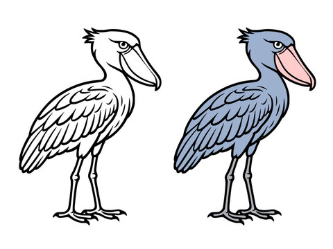Shoebill icon illustration in line art and colored design, for coloring page