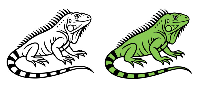 Iguana icon illustration in line art and colored design, for coloring page