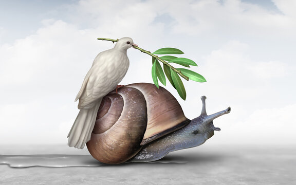 Slow Peace Process and long diplomatic effort to end conflict as a symbol for political negotiations in regard to peacemaking as a white peace dove with an olive branch at a snails pace in finding a m