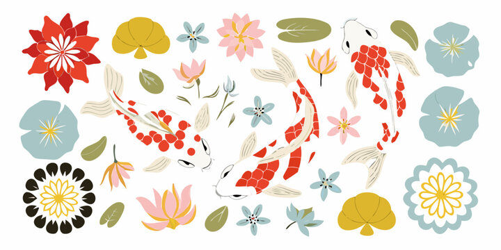 Koi fish and lotus flowers stylized vector illustration on white background