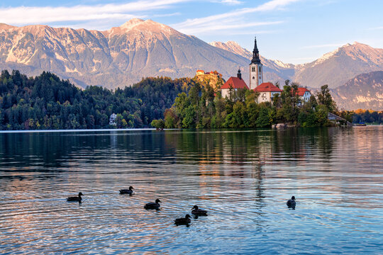 The church on the Lake Bled in the Julian Alps, Slovenia is one of Europe's most famous destinations