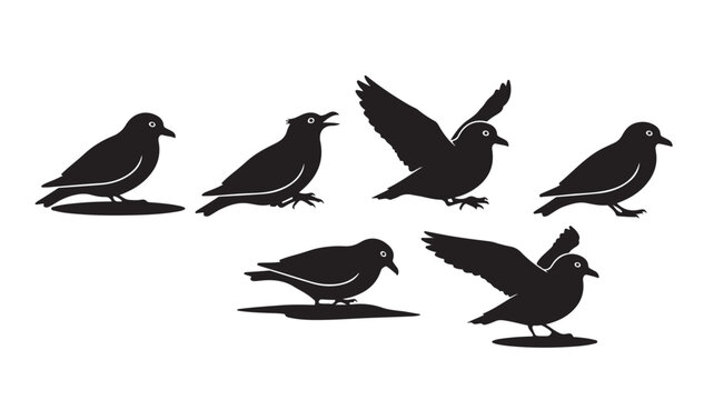 Black bird silhouette collection, set of 6 avian vector icons, flying and perching songbird shapes, minimalist wildlife nature graphics