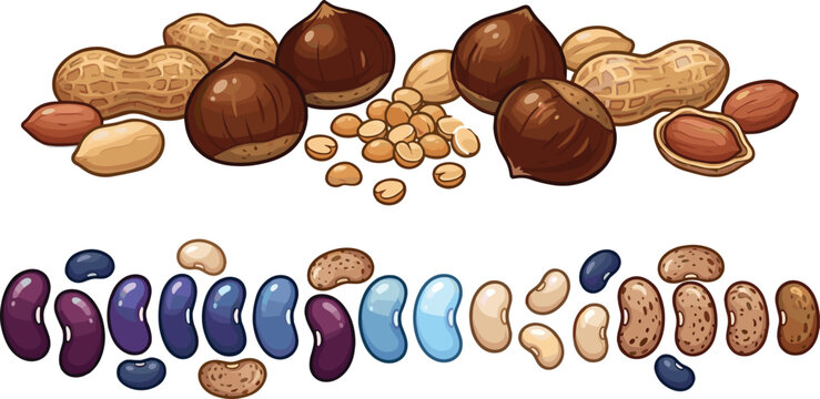 Assorted Nuts and Beans Collection with Peanuts Chestnuts Cashews and Legume Seeds in Detailed Vector Illustration Style