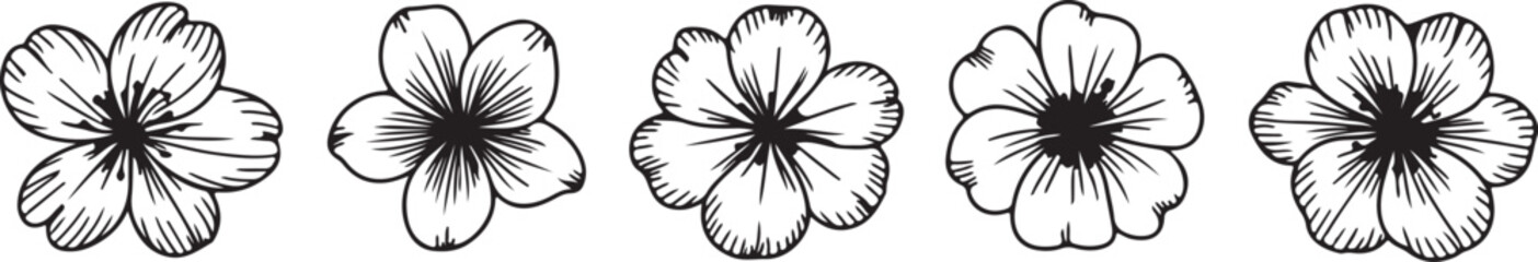 flower vector line art petal botanical motif collection © AIcon Star