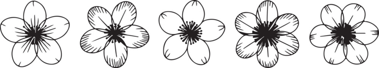 flower botanical sketch variations floral pattern elements © AIcon Star