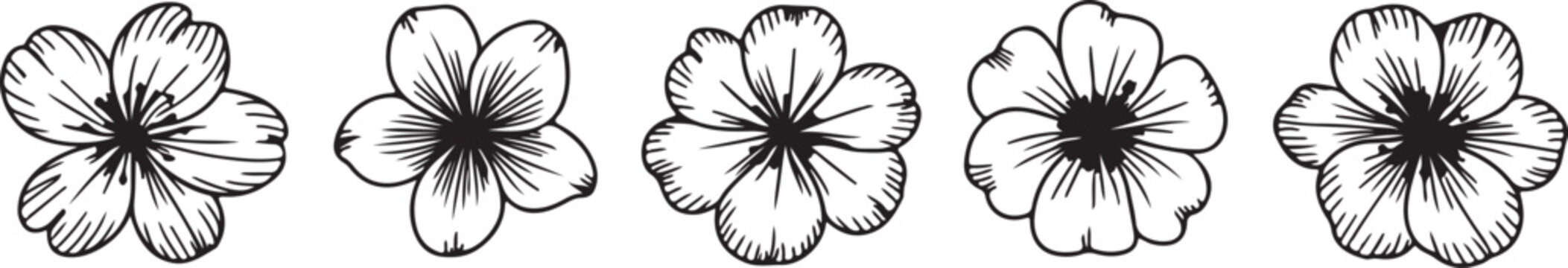 flower vector line art petal botanical motif collection