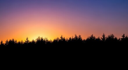 Fototapeta premium Dramatic dark forest silhouette captured during the golden hour. Woodland trees forming a solid edge against the bright colorful sky at twilight, tranquility, dusk, forest