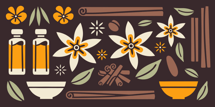 Vanilla flowers and cinnamon sticks illustration on dark background