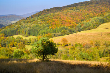 Meadows and hills in the Magurski Park Narodowy (Magurski National Park) in autumn in Beskid Niski in Poland