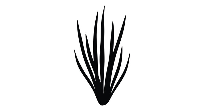 Black agave plant silhouette on white background