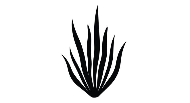Black agave plant silhouette on white background