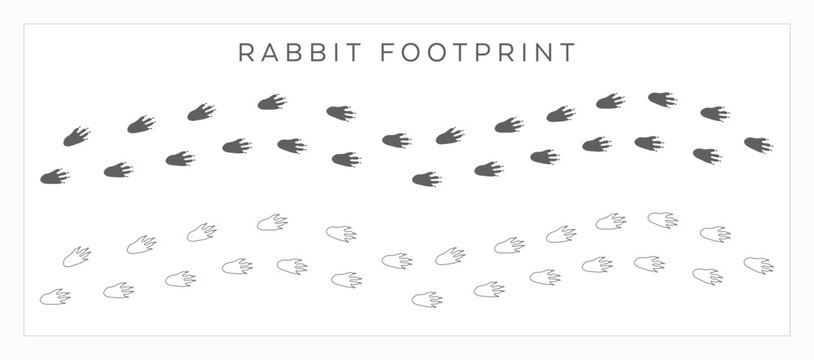 Rabbit and Bunny Footprint Vector Set &ndash; Animal Paw Print Tracks and Silhouette Outlines