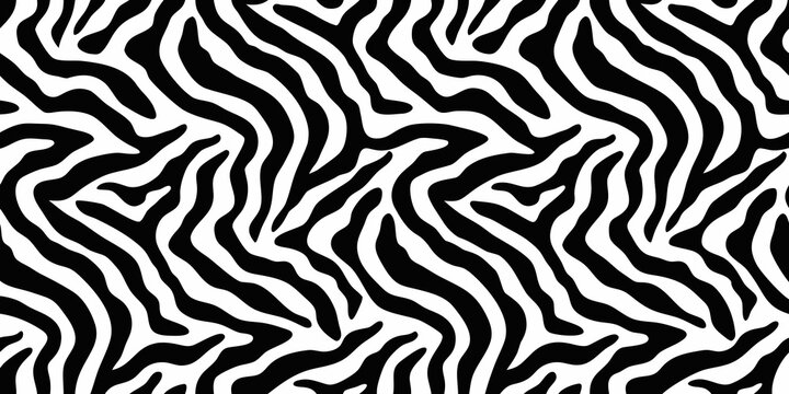 Zebra stripe pattern seamless black and white animal print