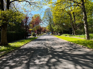 Obraz premium A quiet residential street is flanked by tall trees casting intricate shadows. Cars are parked along the side and the sky is clear and blue along Grove Lane, Far Headingley, Leeds, UK