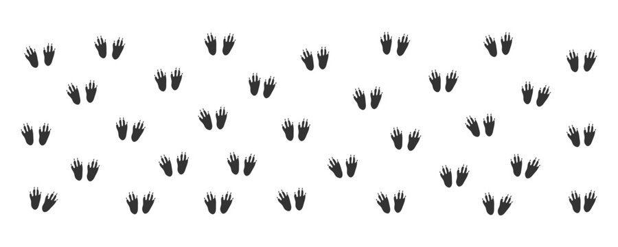 Animal Footprint Vector Collection &ndash; Wildlife Paw and Track Set in Outline & Silhouette Style for Nature, Safari & Outdoor Designs