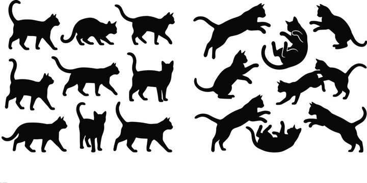 Cat silhouettes set with walking jumping and playing poses isolated for pet design wildlife graphics and creative projects