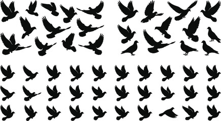 Obraz premium Flying bird silhouettes set with pigeons and doves in various poses isolated for logo design and decorative use