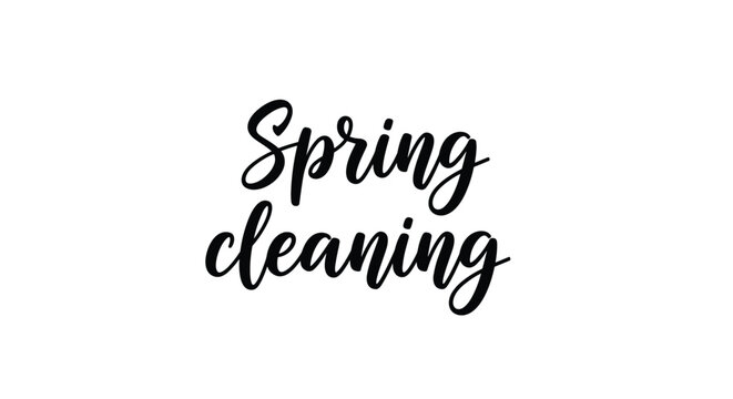 Bold black brush lettering reading Spring cleaning in a stylish handwritten script isolated on a plain white background surface.