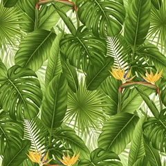 A lush and vibrant tapestry of exotic jungle foliage, showcasing the rich textures and verdant hues of tropical flora, interwoven with the striking beauty of Strelitzia reginae © static