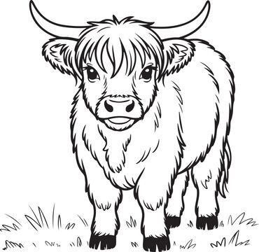 Smiling highland cow standing in grassy field