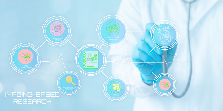 Medical professional using digital interface for advanced imaging based research and healthcare innovation