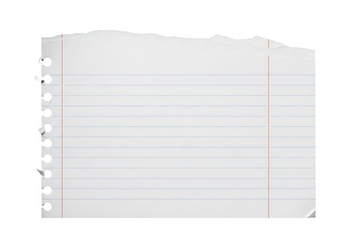 A single piece of lined notebook paper torn from a spiral binder with rough jagged edges and holes on the side for school or office work