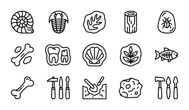 Fossil Icons Set, Paleontology Symbols, Ancient Life Vector Graphics, Science & History