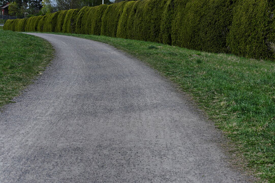 A peaceful curved gravel road bordered by tall manicured green hedges and grassy fields