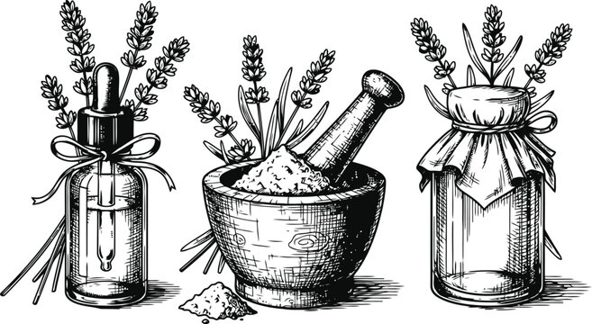 A vintage style sketch illustration featuring lavender sprigs with mortar pestle and oil vials