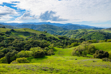 Obraz premium Lush green rolling hills and oak woodland under dramatic clouds in California, scenic spring landscape near San Jose, Bay Area, peaceful nature panorama with layered mountains