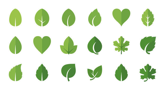 Collection of various green leaf shapes and icons.