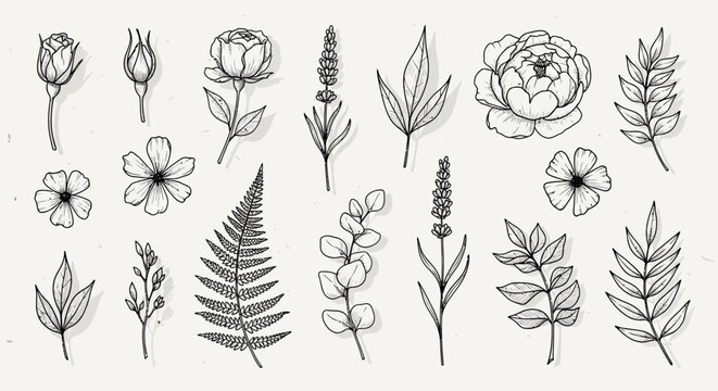 A collection of various drawn flowers and leaves.
