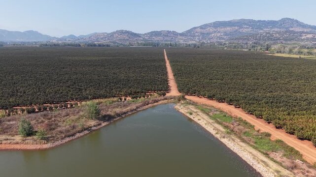 Aerial view of a hazelnut plantation in Chile with solar panels and irrigation system.