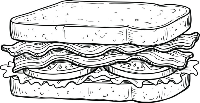 Sandwich BLT bacon lettuce tomato bread food snack lunch meal cooking kitchen icon set detailed line drawing design artwork -flat vector illustration