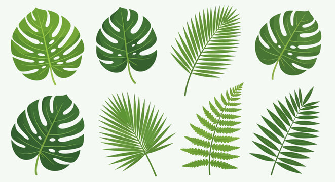 Collection of tropical green leaves.