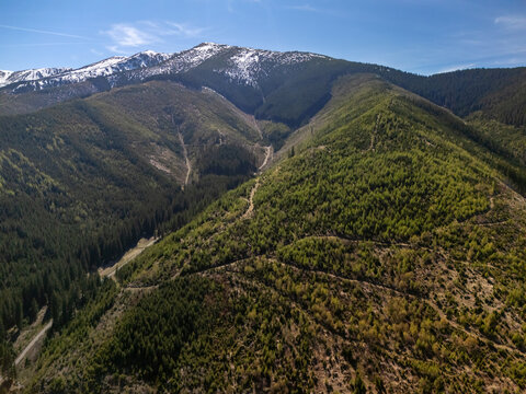 Aerial view of lush green forested slopes and a winding mountain path with snow-capped peaks in the background under a clear blue sky in Demanovska Dolina, Zilina Region, Slovakia.