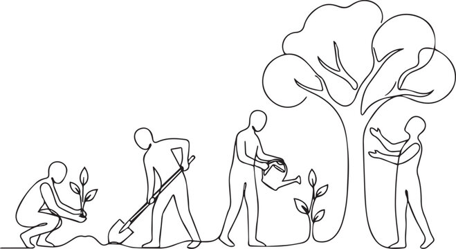 People growing a tree from seed to maturity