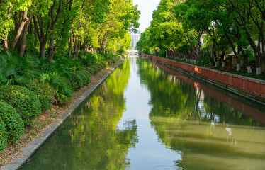 Fototapeta premium landscape of river with green trees in the city