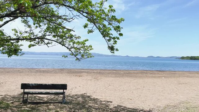 【背景映像】湖畔の砂浜とベンチ｜Bench on Lakeside Beach, Calm Natural Landscape