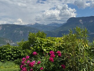 Fototapeta premium Schöne Landschaft bei Tramin in Südtirol 