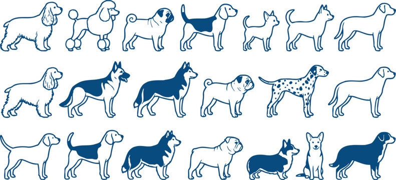 Multiple dog breeds in various poses and colors on a white background