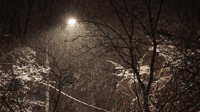 Snowfall against the background of light from a street lamp at night