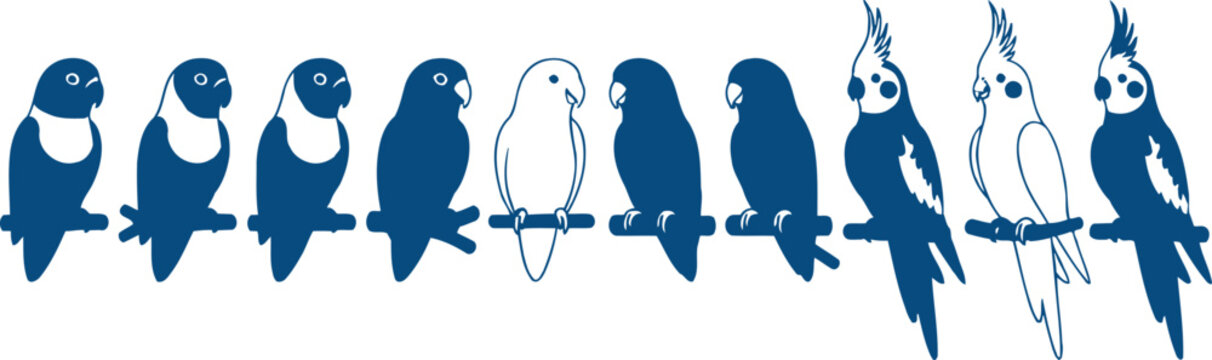 A row of blue and white parakeets perched on a branch