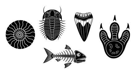 Collection of Prehistoric Fossils Including Ammonite, Trilobite, Tooth, Fin, and Footprint on an Isolated White Background © Malkis