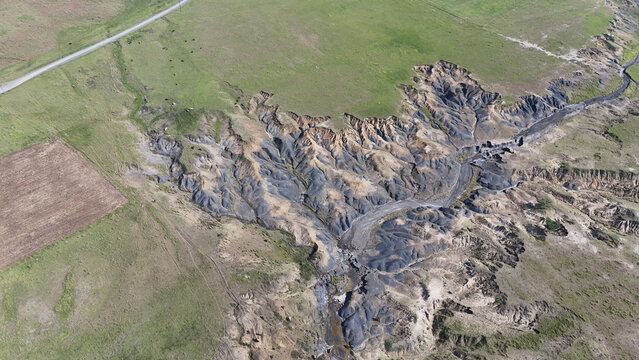 Aerial view of severe soil erosion and deep dongas cutting through green pastures with a dirt road and grazing cattle Pietermaritzburg, KwaZulu-Natal, South Africa.