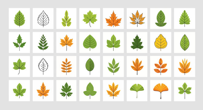 Collection of various leaf types and colors.
