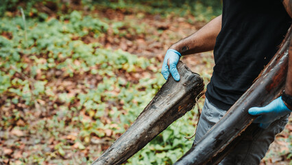 Obraz premium Gardener wearing blue gloves carrying large dried palm fronds through garden with fallen leaves on ground during autumn cleanup
