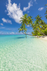 Naklejka premium Breathtaking travel landscape of a tranquil paradise island and amazing tropical beach with turquoise ocean water white sand and peaceful nature scenery for summer holiday concept majestic wallpaper