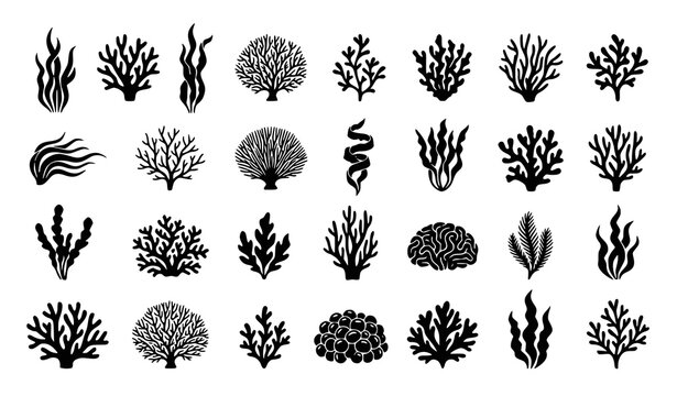 Black seaweed and coral silhouette vector set isolated marine plant collection underwater botanical elements